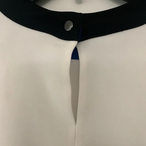 BCBGMAXAZRIA STEPHANIE COLOR BLOCK SHIFTH DRESS BLACK with pockets 😍 - Picture 6 of 7